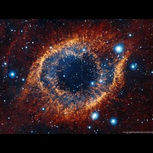 Galaxy of Love (feat. Dentist)