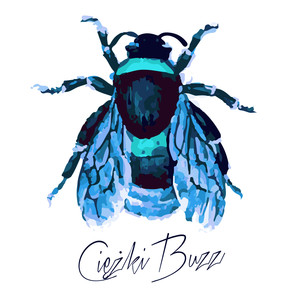 Ciężki Buzz (Explicit)