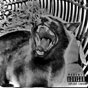 Wanna know (Explicit)