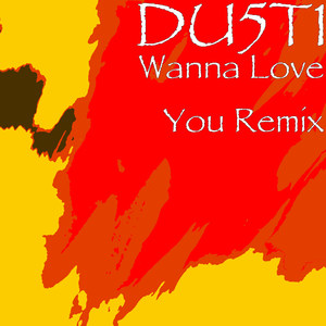 Wanna Love You Remix