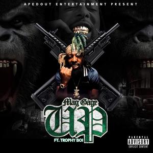 UP(feat. Trophy Boi) (Explicit)