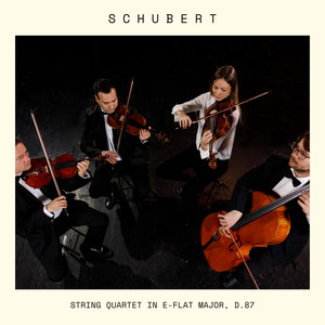 String Quartet in E-Flat Major, D. 87 - I. Allegro moderato