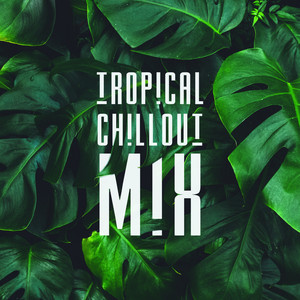 Tropical Chillout Mix: Chillout Vibes, Compilation of Best 2019 Sunny Beats, Deep Relax, Summer Music