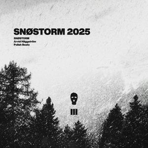 SNØSTORM 2025 (Instrumental Version)