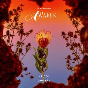 Awaken (Radio Edit) [Explicit]