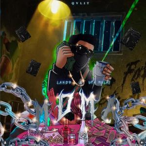 Mdma (feat. LANDO) (Explicit)