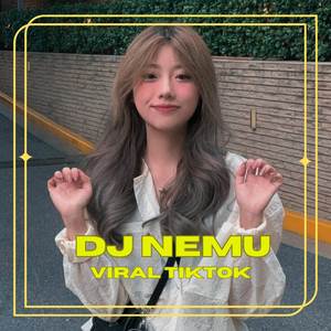 DJ NEMU