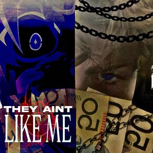 THEY AINT LIKE ME (feat. rheyr & SXMERIAN) (Explicit)