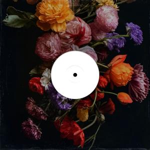 1977 (The New Bounce) - The Kensington Project封面