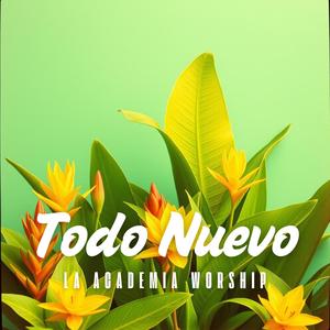 Todo Nuevo