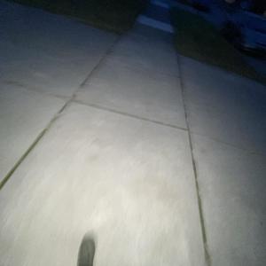 Too Turnt (Explicit)