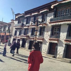 像风一样自由 (随意版)