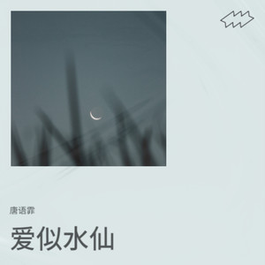 爱似水仙 (你说我冷得像水仙)