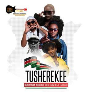 Tusherekee (feat. Brandy Maina, Dufla, Kaka Mlezi, Ndovu Kuu & Faith Stan)