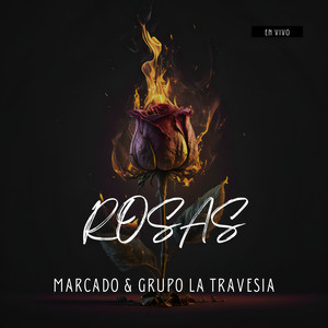 Rosas (En Vivo) (Explicit)