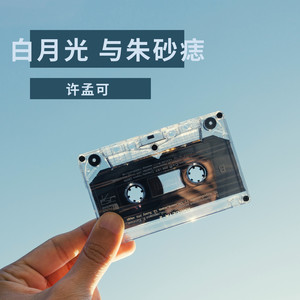 白月光与朱砂痣