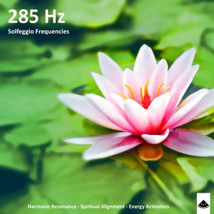 285 Hz - Harmonic Balance