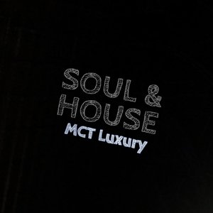 With Style (Alan de Laniere Soulful Mix)