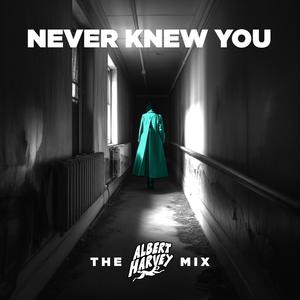 Never Knew You The Albert Harvey Mix
