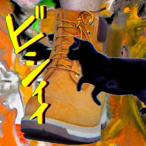 My Cat is Scared of My Timbs (Explicit)