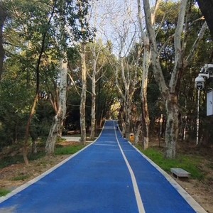 白幺儿 - 平凡日子里的挣扎 (Live)