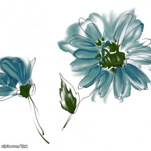 【词】生若荼蘼