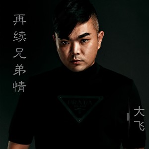 再续兄弟情
