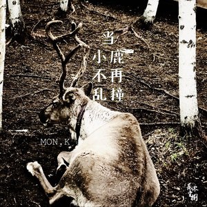 当小鹿不再乱撞