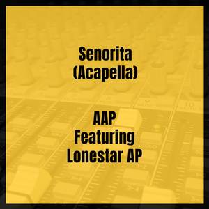 Senorita (Acapella) [Explicit]