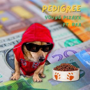 Pedigree (feat. BRA)