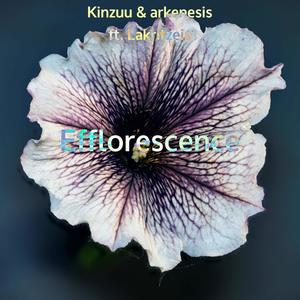 Efflorescence (feat. Lakritzeis)