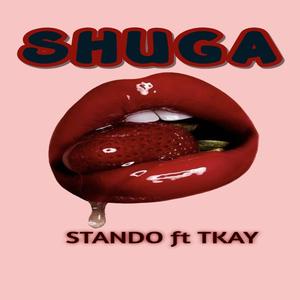 SHUGA (feat. Tkay)