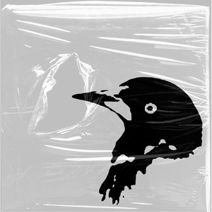 Pássaro livre (Explicit)