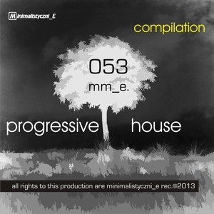 Pres. House, Progressive 2013 Compilation