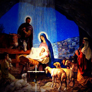 The Lilly Burst into Bloom (Rozkwitnela sie lilija)