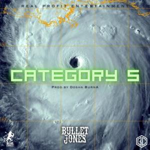 Category 5 (Explicit)