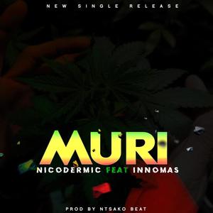Muri (feat. InnoMmas) (Explicit)