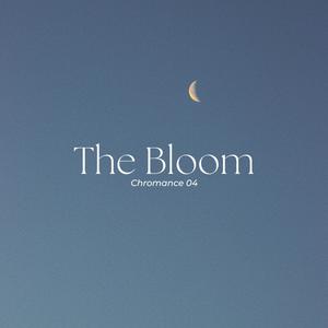 The Bloom instru