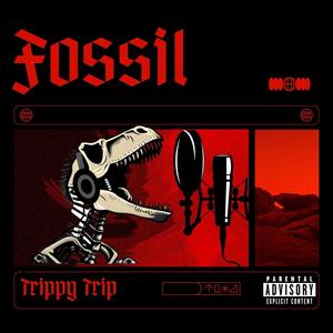 Fossil (Explicit)