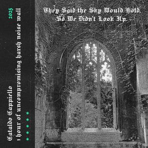 They Said the Sky Would Hold, So We Didn't Look Up