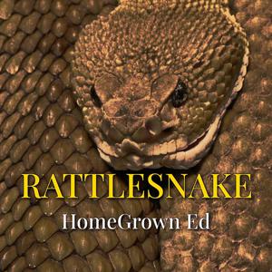 Rattlesnake