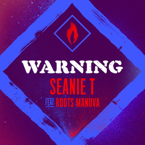 Warning (feat. Roots Manuva)