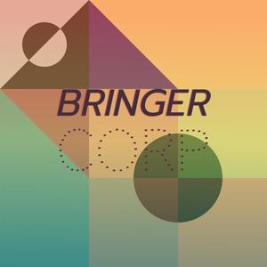 Bringer Corp