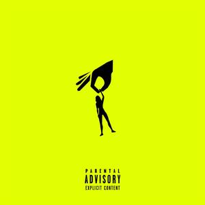 Replaceable (Explicit)