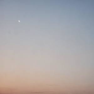 如果我不曾见过太阳