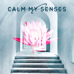 Calm my Senses