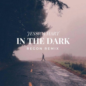 In the Dark (REGON Remix)