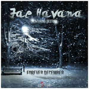 Forever December (feat. Destiny) [Explicit]
