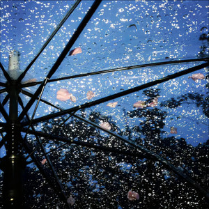 小雨天气