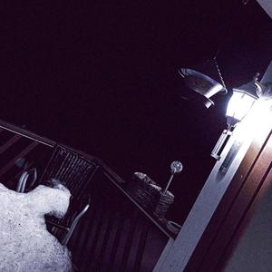 Puinen tuhkakuppi (Explicit)